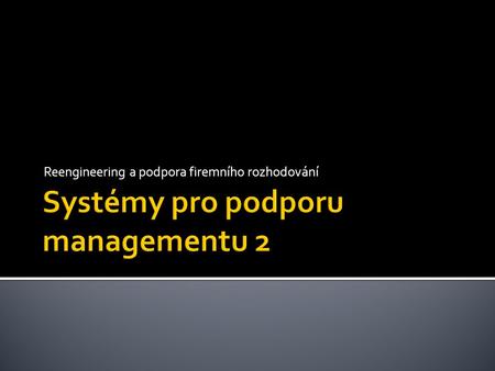 Systémy pro podporu managementu 2
