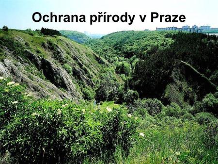 Ochrana přírody v Praze