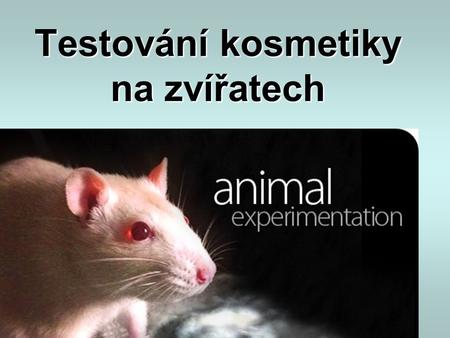 Testování kosmetiky na zvířatech