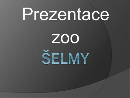 Prezentace zoo ŠELMY.