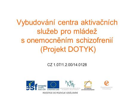 Vybudování centra aktivačních služeb pro mládež s onemocněním schizofrenií (Projekt DOTYK) CZ 1.07/1.2.00/14.0128.