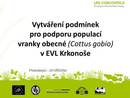 Vytváření podmínek pro podporu populací vranky obecné (Cottus gobio) v EVL Krkonoše Přednášející : Jiří KŘESINA.