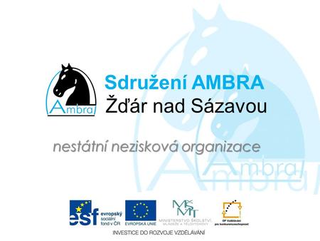 Sdružení AMBRA Žďár nad Sázavou