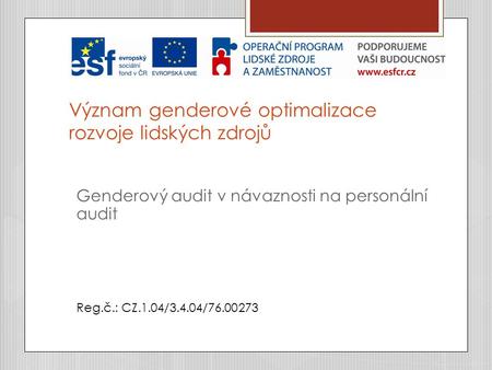 Význam genderové optimalizace rozvoje lidských zdrojů Genderový audit v návaznosti na personální audit Reg.č.: CZ.1.04/3.4.04/76.00273.