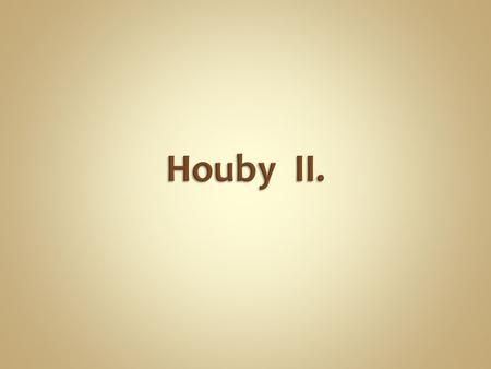 Houby II..