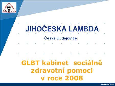 GLBT kabinet sociálně zdravotní pomoci v roce 2008