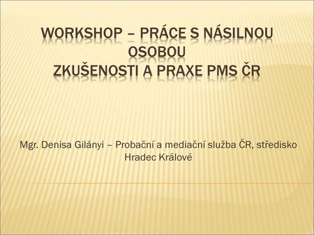 Workshop – práce s násilnou osobou Zkušenosti a praxe PMS ČR