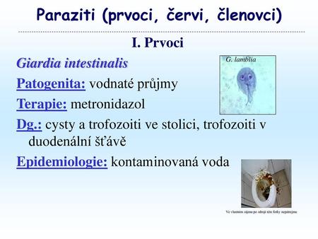 Paraziti (prvoci, červi, členovci)