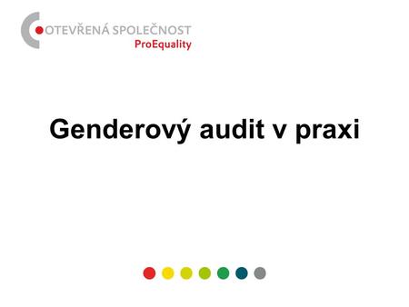 Genderový audit v praxi