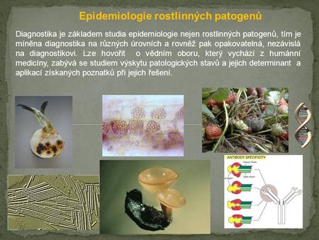 Epidemiologie rostlinných patogenů