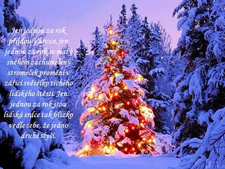 Jen jednou za rok přijdou Vánoce, jen jednou za rok se malý sněhem zachumelený stromeček promění v zářící světélko tichého lidského štěstí. Jen jednou.