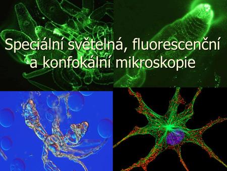 Speciální světelná, fluorescenční a konfokální mikroskopie