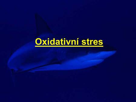 Oxidativní stres.
