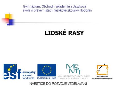 Gymnázium, Obchodní akademie a Jazyková škola s právem státní jazykové zkoušky Hodonín LIDSKÉ RASY 1 1.