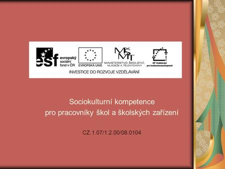 Sociokulturní kompetence pro pracovníky škol a školských zařízení CZ.1.07/1.2.00/08.0104.