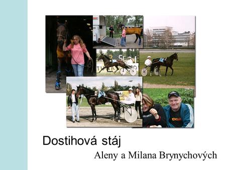 Dostihová stáj Aleny a Milana Brynychových. D ovolte, abychom Vám představili dostihovou stáj klusáckých koní manželů Aleny a Milana Brynychových z dostihového.