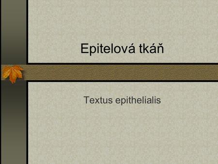 Epitelová tkáň Textus epithelialis.