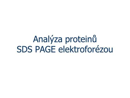 Analýza proteinů SDS PAGE elektroforézou