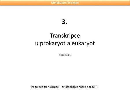 Transkripce u prokaryot a eukaryot (kapitola 11)