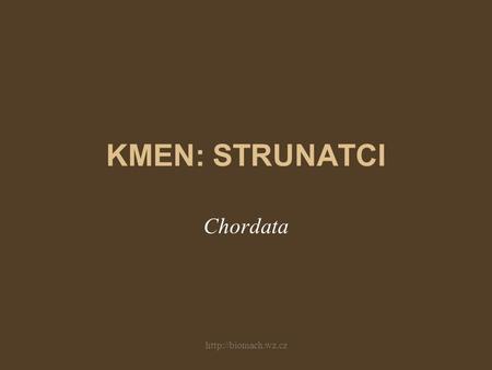 KMEN: STRUNATCI Chordata http://biomach.wz.cz.