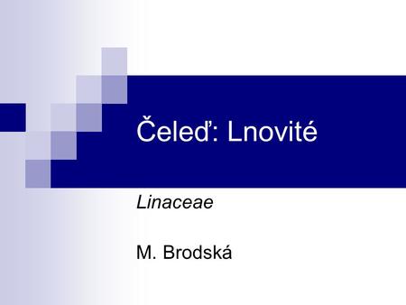 Čeleď: Lnovité Linaceae M. Brodská.