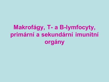 Makrofágy, T- a B-lymfocyty, primární a sekundární imunitní orgány
