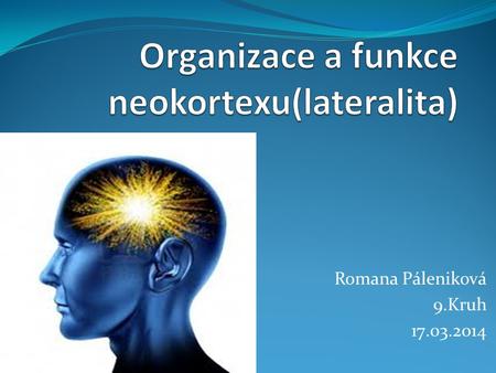 Organizace a funkce neokortexu(lateralita)