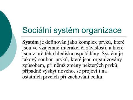 Sociální systém organizace