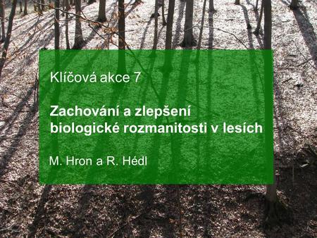 Klíčová akce 7 Zachování a zlepšení biologické rozmanitosti v lesích M. Hron a R. Hédl.