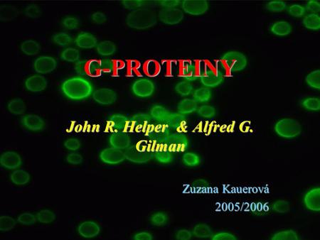 John R. Helper & Alfred G. Gilman Zuzana Kauerová 2005/2006