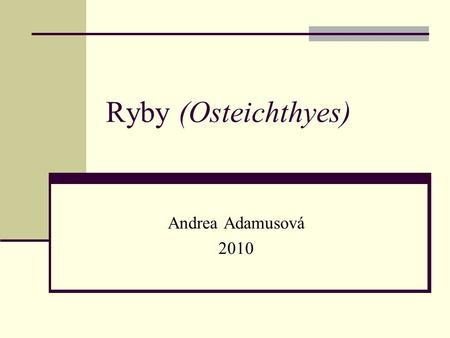 Ryby (Osteichthyes) Andrea Adamusová 2010.