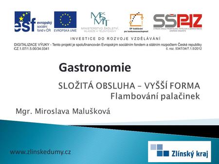 Mgr. Miroslava Malušková Gastronomie www.zlinskedumy.cz.