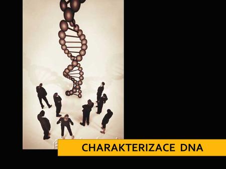 CHARAKTERIZACE DNA.