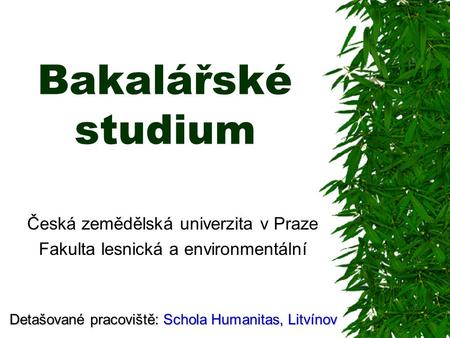 Česká zemědělská univerzita v Praze Fakulta lesnická a environmentální