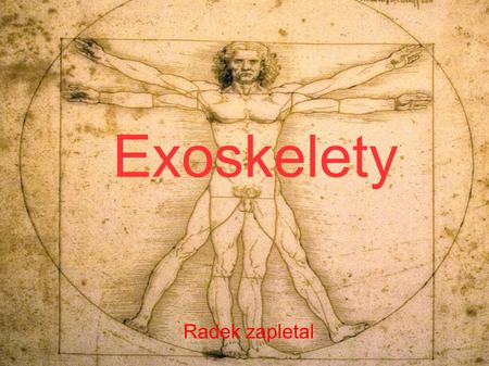 Exoskelety Radek zapletal.