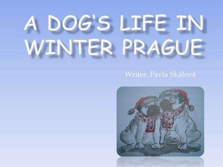 A Dog‘s Life in Winter Prague