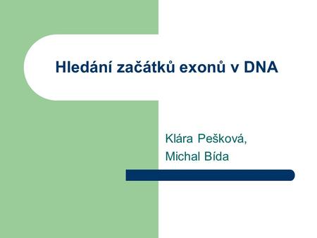 Hledání začátků exonů v DNA Klára Pešková, Michal Bída.