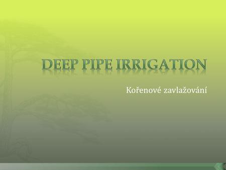 Deep pipe irrigation Kořenové zavlažování.