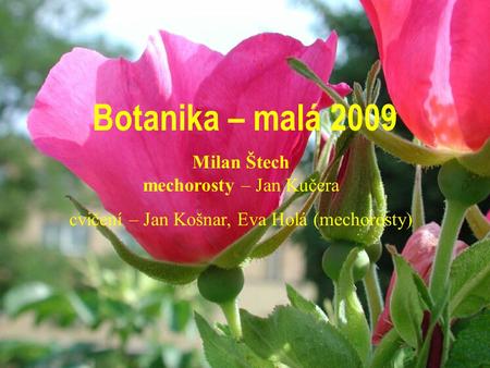 Botanika – malá 2009 Milan Štech mechorosty – Jan Kučera