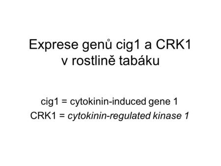 Exprese genů cig1 a CRK1 v rostlině tabáku cig1 = cytokinin-induced gene 1 CRK1 = cytokinin-regulated kinase 1.