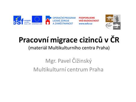 Pracovní migrace cizinců v ČR (materiál Multikulturního centra Praha)