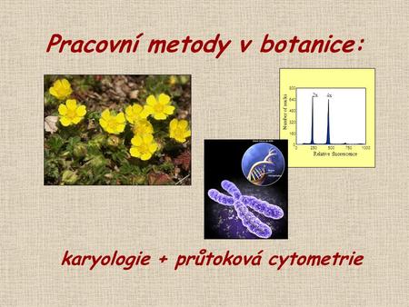 Pracovní metody v botanice: karyologie + průtoková cytometrie