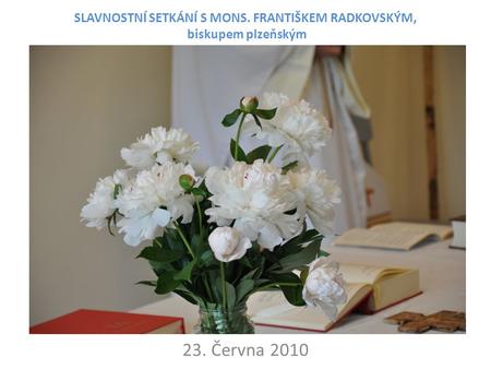 SLAVNOSTNÍ SETKÁNÍ S MONS. FRANTIŠKEM RADKOVSKÝM, biskupem plzeňským 23. Června 2010.
