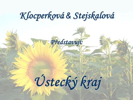 Klocperková & Stejskalová