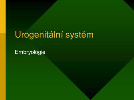 Urogenitální systém Embryologie.
