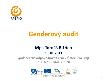 Genderový audit Mgr. Tomáš Bitrich 10.10. 2013 Společenská odpovědnost firem v Ústeckém kraji CZ.1.07/3.2.06/03.0020 1.