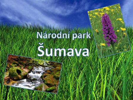Národní park Šumava.