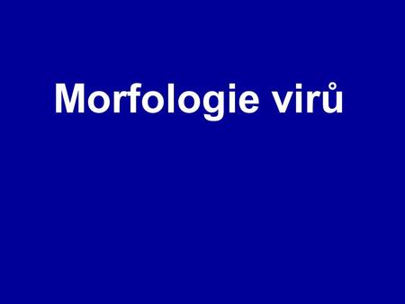 Morfologie virů.