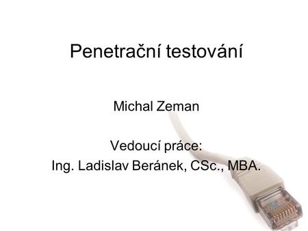 Michal Zeman Vedoucí práce: Ing. Ladislav Beránek, CSc., MBA.