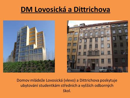 DM Lovosická a Dittrichova